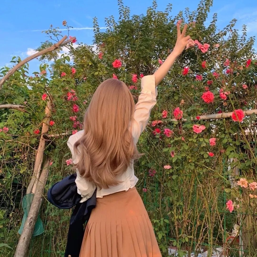 与梦妮卡度过的夏天封面